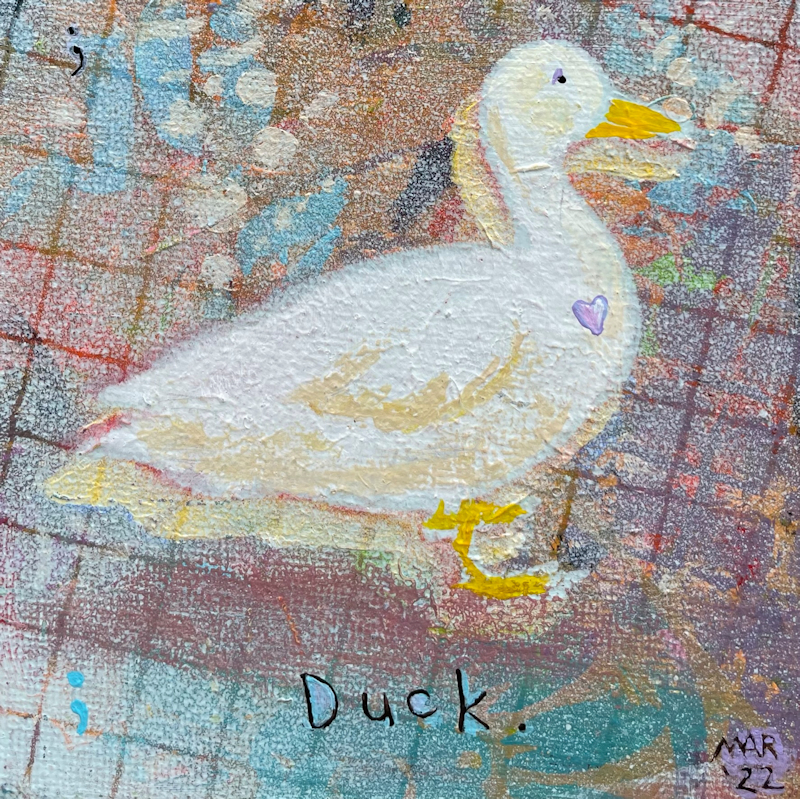 Duck